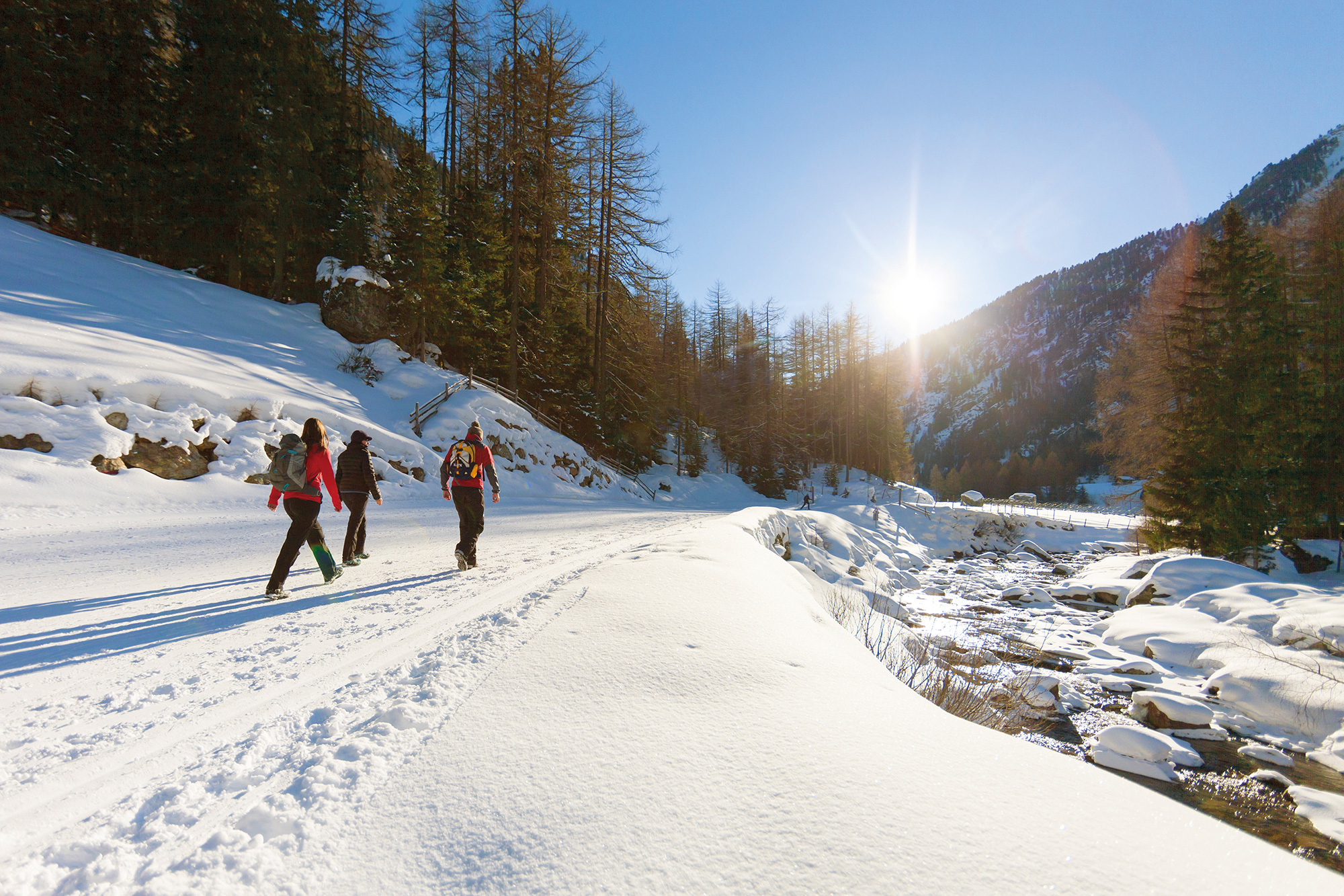 Escursioni nella neve in Val Martello - Val Venosta