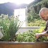 Lo chef seleziona le erbe fresche del giardino per il nostro menu a scelta in mezza pensione in Alto Adige
