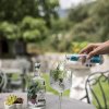Gin Tonic - Z44 dell'Alto Adige con acqua tonica
